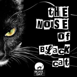 The Noise Of Black Cat