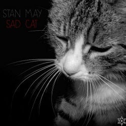 Sad Cat