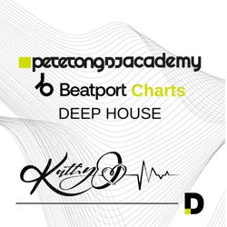 Pete Tong DJ Academy - Deep house