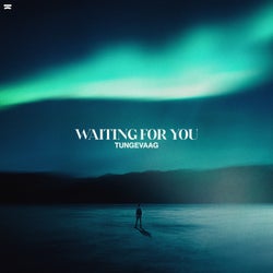 Waiting For You (Extended Mix)