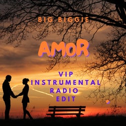 Amor (Moikabi VIP Instrumental Radio Edit)