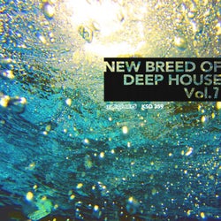 New Breed Of Deep House Vol. 7