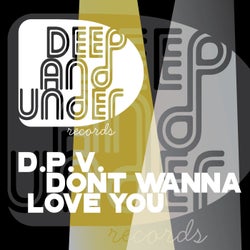 Dont Wanna Love You