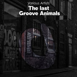 The last groove Animals