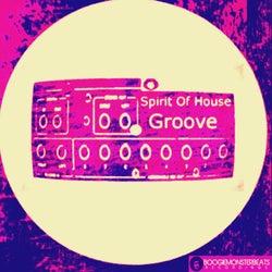 Spirit Of House Groove