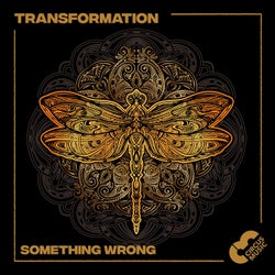 Something Wrong (Original Mix)