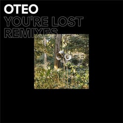 You're Lost (Remixes)