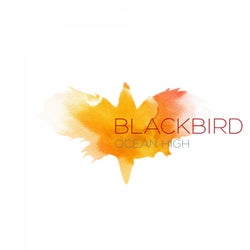 Blackbird