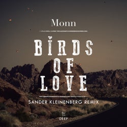 Birds Of Love - Sander Kleinenberg Remix