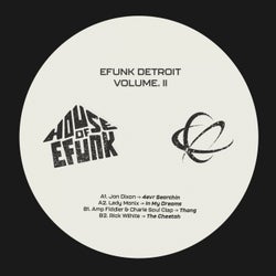 EFUNK Detroit Vol.2