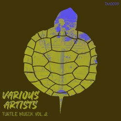 Turtle Musik Vol 2