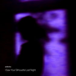 I Saw Your Silhouette Last Night