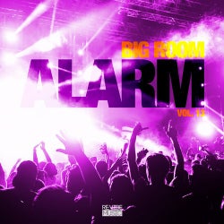 Copertina per Big Room Alarm, Vol. 13