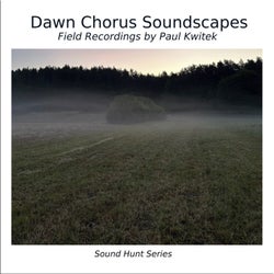 Dawn Chorus Soundscapes