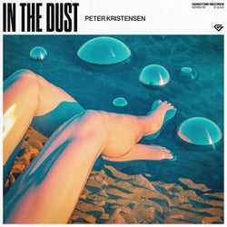 In The Dust