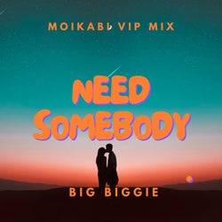 Need Somebody (Moikabi VIP Mix)