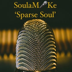 Sparse Soul