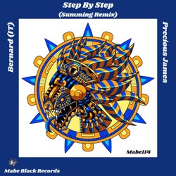 Step by Step - Summing Remix