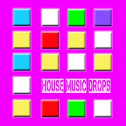 House Music Drops