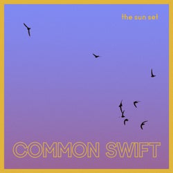 Common Swift