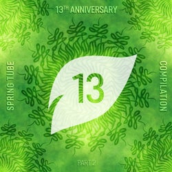 Spring Tube 13th Anniversary Compilation, Pt. 2