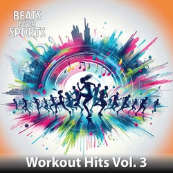 Workout Hits, Vol. 3