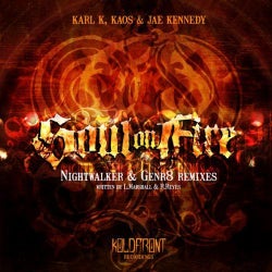Soul on Fire Remixes