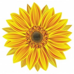 Sunflower Charts Juli 2013
