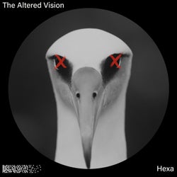 The Altered Vision (Original Mix)