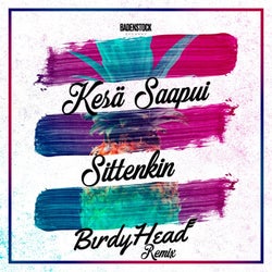 Kesä Saapui Sittenkin (BirdyHead remix)