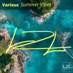 Various - Summer Vibes