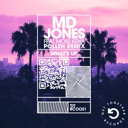 What's Up (feat. Moss Kena) (Pollen Remix)