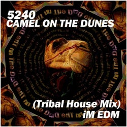 Camel on the Dunes (Tribal House Mix)