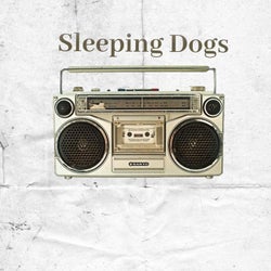 Sleeping Dogs