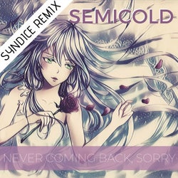 Never Coming Back, Sorry (Syndice Remix)