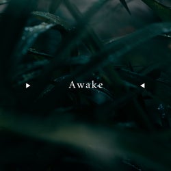 Awake