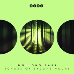 Echoes Of Bygone Hours