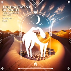 Enchantment of Night (BEBO Remix)