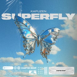 Superfly (Extended Mix)