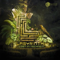 Labyrinth, Lost In Techno 02 - Compiled By ZigMon