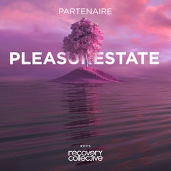 Pleasurestate