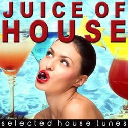 Juice of House (Selected House Tunes)