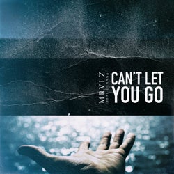 Can't Let You Go (feat. DEANNA)