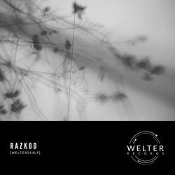[WELTER264LP]