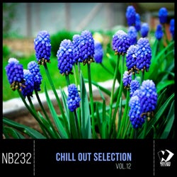 Chill out Selection, Vol. 12