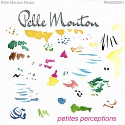 Petites Perceptions