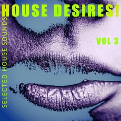 House Desires!, Vol. 3