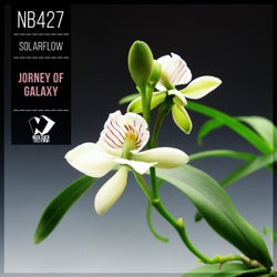 Jorney of Galaxy