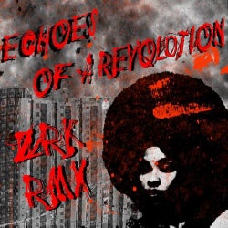 Echoes of a Revolution ZRK Remix