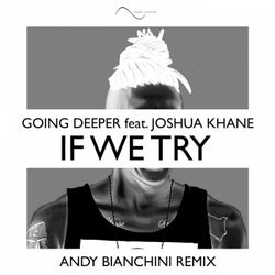 If We Try (Andy Bianchini Remix)